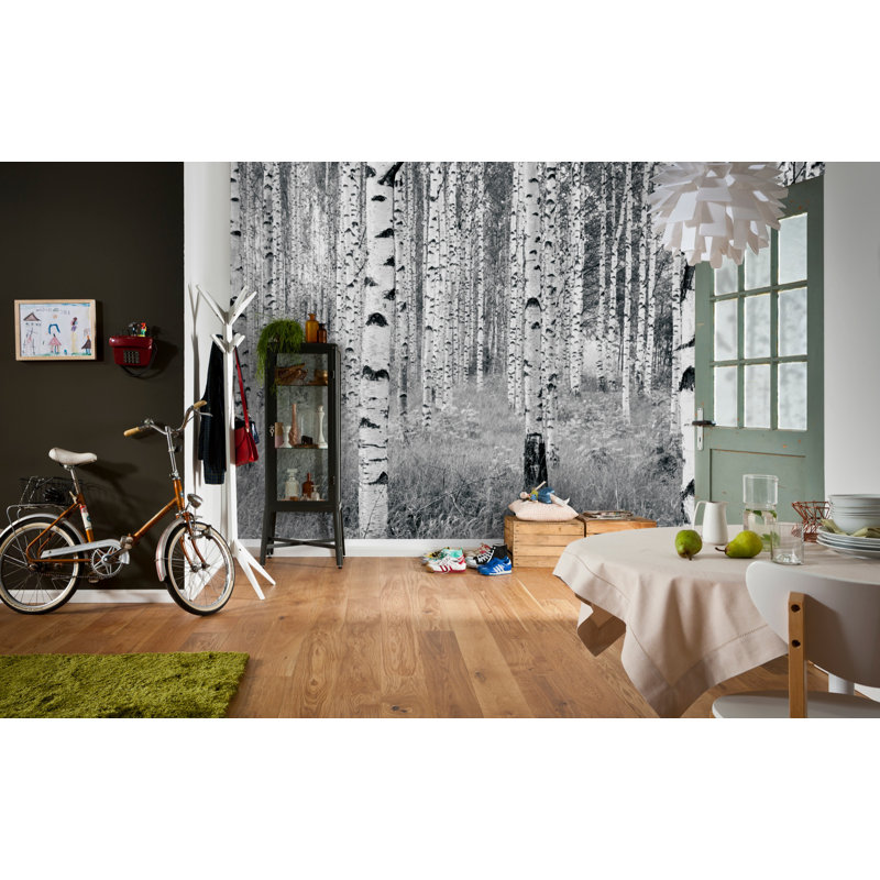 Komar Birch Forest 145" x 98" Wall Mural & Reviews AllModern